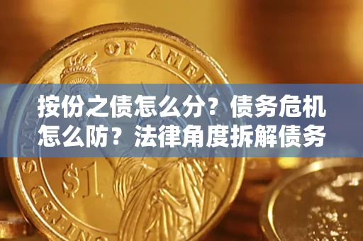 武汉按份之债怎么分？债务危机怎么防？法律角度拆解债务分配与风险自保指南