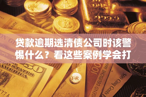武汉贷款逾期选清债公司时该警惕什么？看这些案例学会打翻身仗