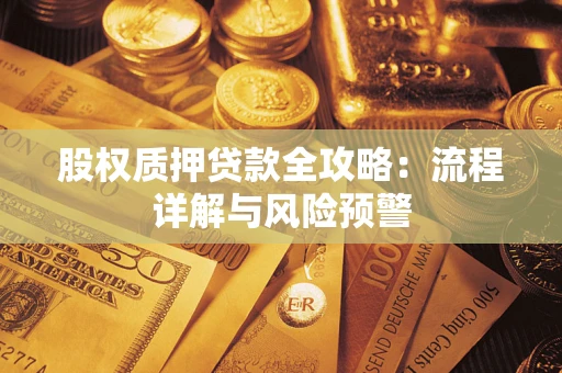 武汉股权质押贷款全攻略：流程详解与风险预警