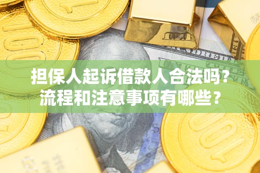 武汉担保人起诉借款人合法吗？流程和注意事项有哪些？