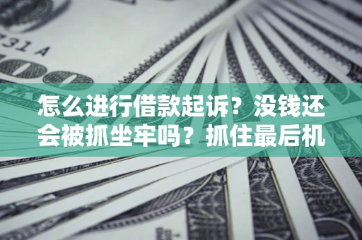 武汉怎么进行借款起诉？没钱还会被抓坐牢吗？抓住最后机会！
