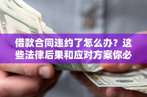 武汉借款合同违约了怎么办？这些法律后果和应对方案你必须知道
