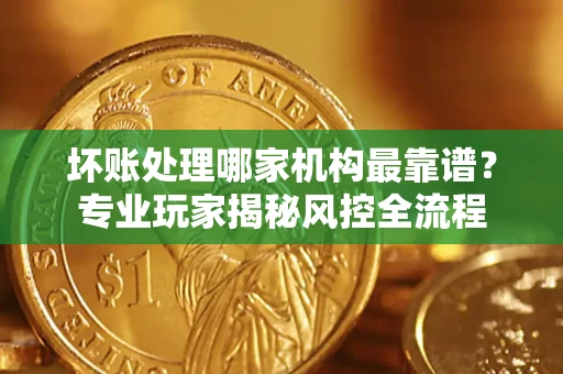 武汉坏账处理哪家机构最靠谱？专业玩家揭秘风控全流程