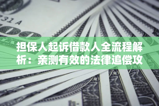 武汉担保人起诉借款人全流程解析：亲测有效的法律追偿攻略