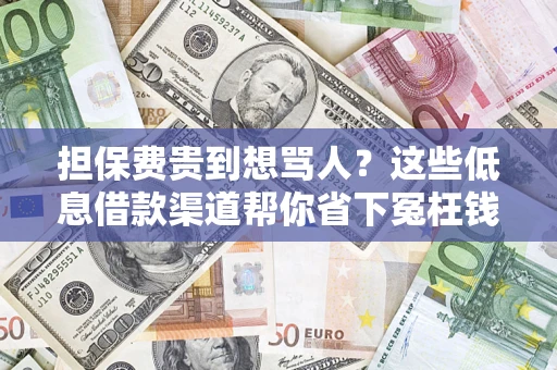武汉担保费贵到想骂人？这些低息借款渠道帮你省下冤枉钱