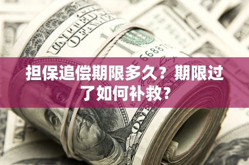 武汉担保追偿期限多久？期限过了如何补救？