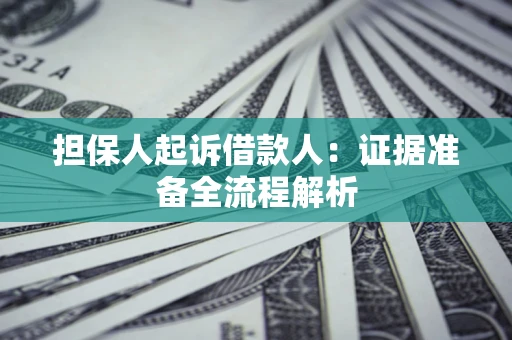 武汉担保人起诉借款人：证据准备全流程解析