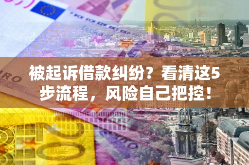 武汉被起诉借款纠纷？看清这5步流程，风险自己把控！