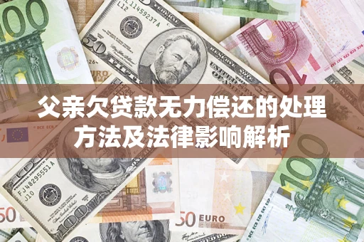 武汉父亲欠贷款无力偿还的处理方法及法律影响解析