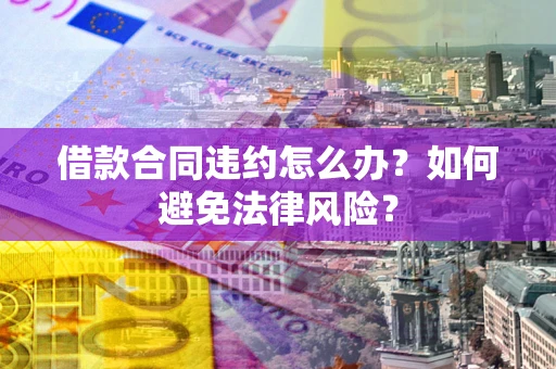 武汉借款合同违约怎么办？如何避免法律风险？
