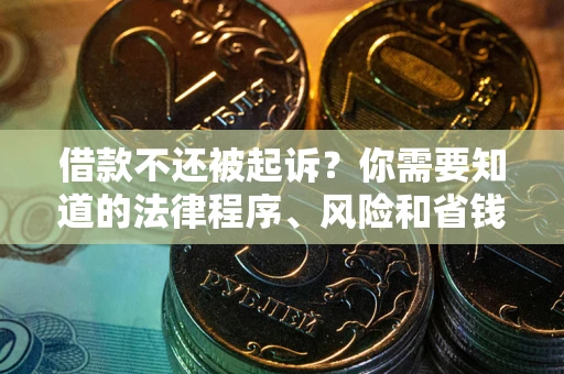 武汉借款不还被起诉？你需要知道的法律程序、风险和省钱技巧